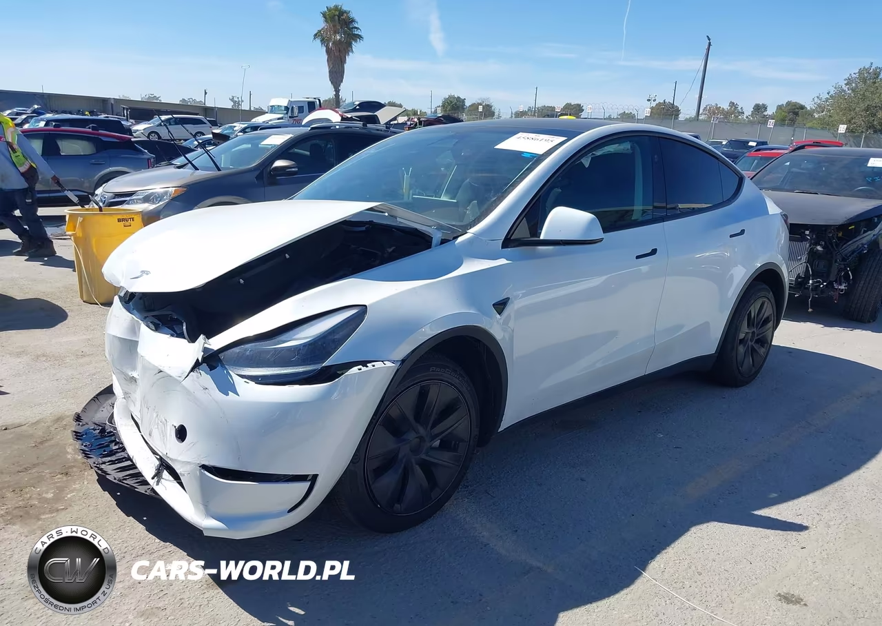 2024 Tesla Model Y Long Range Dual Motor All-Wheel Drive VIN:7SAYGDEE0RF177627 - 2