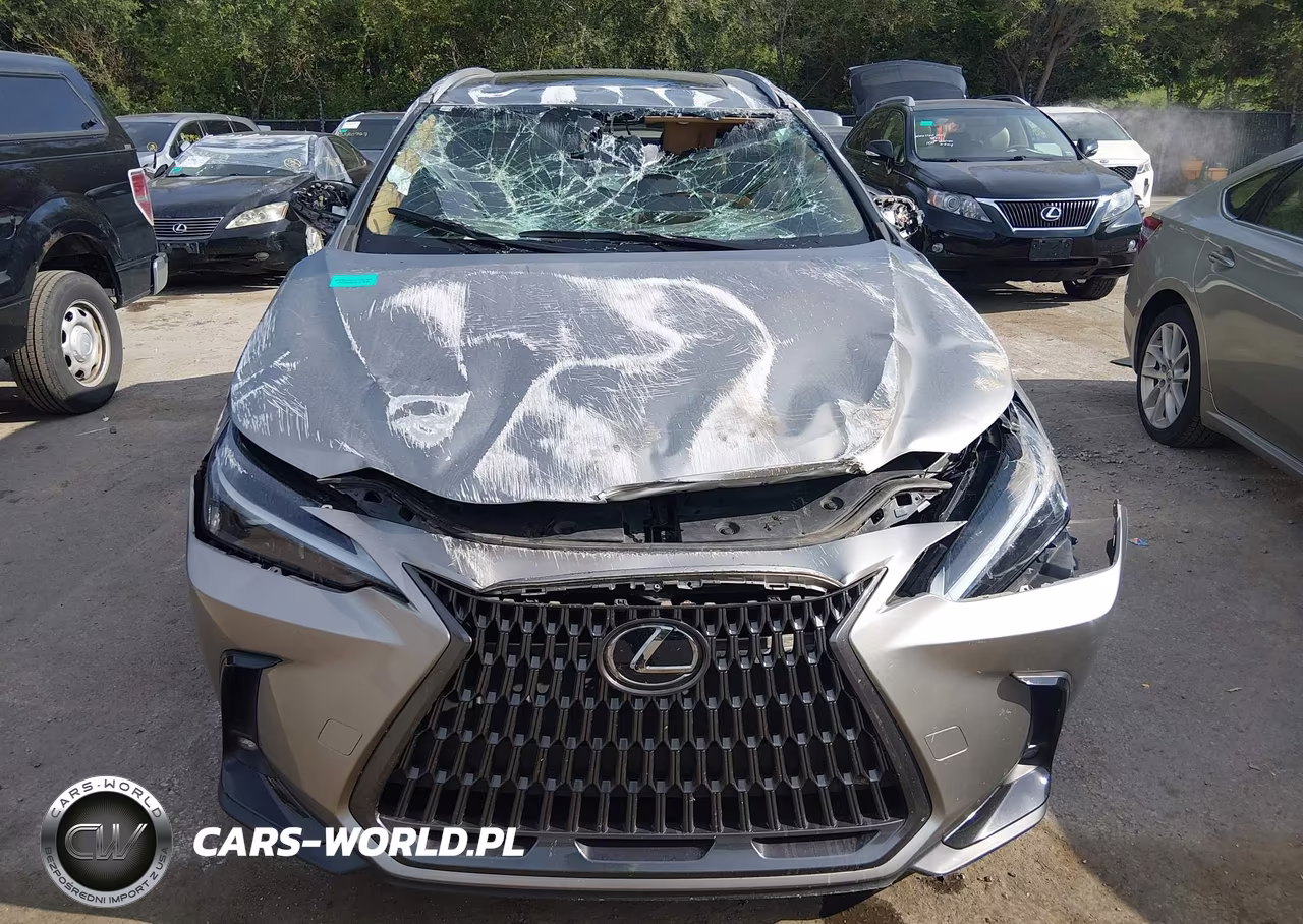 2024 Lexus Nx 350 VIN:2T2AGCEZ9RC049544 - 11