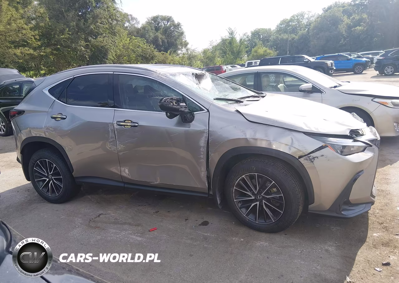 2024 Lexus Nx 350 VIN:2T2AGCEZ9RC049544 - 12