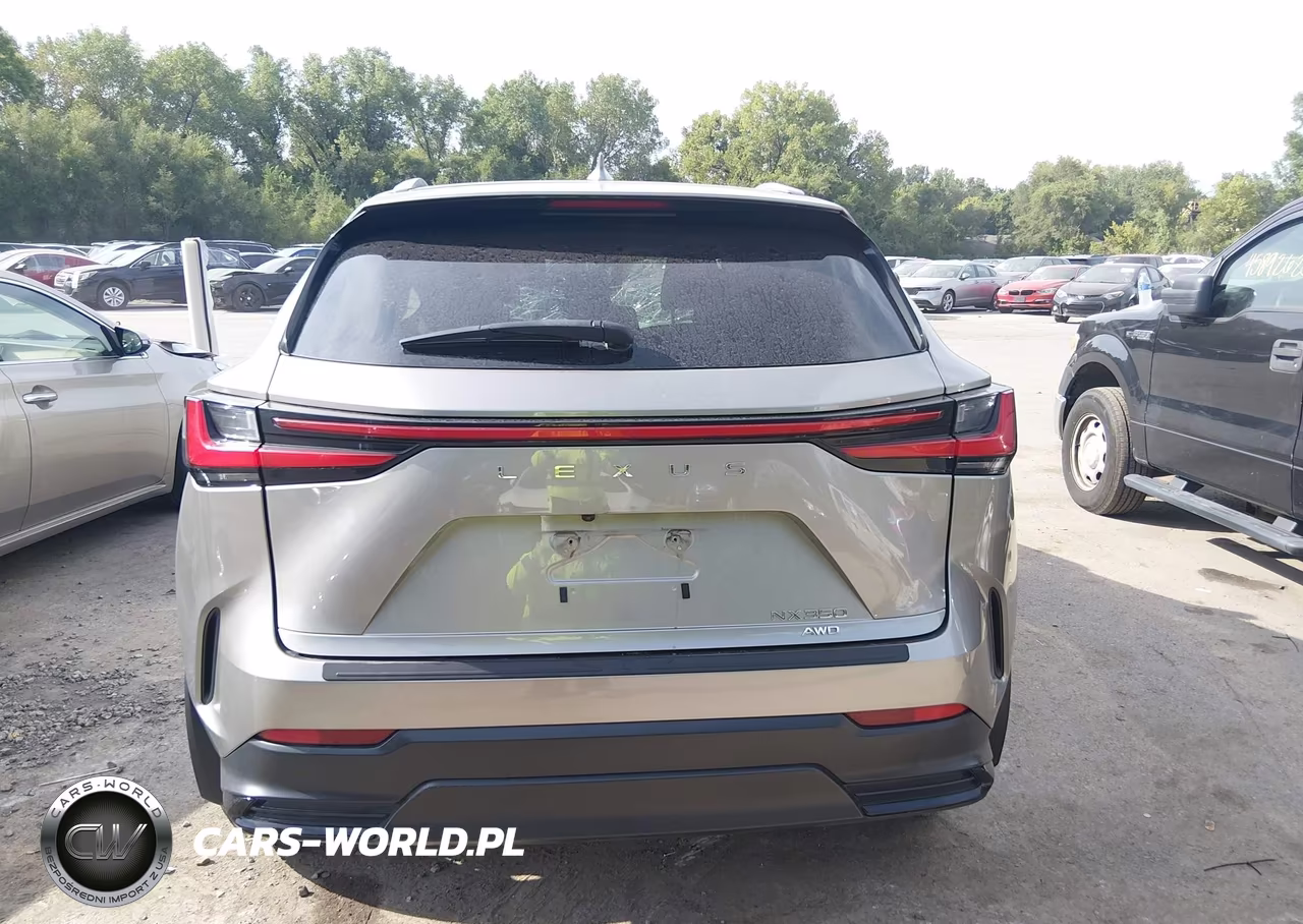 2024 Lexus Nx 350 VIN:2T2AGCEZ9RC049544 - 15