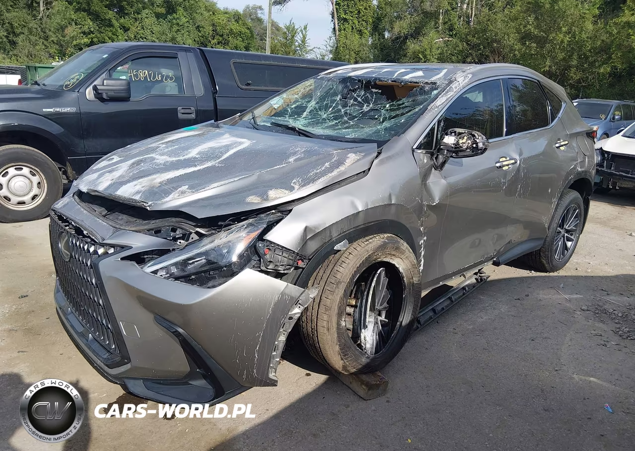 2024 Lexus Nx 350 VIN:2T2AGCEZ9RC049544 - 2