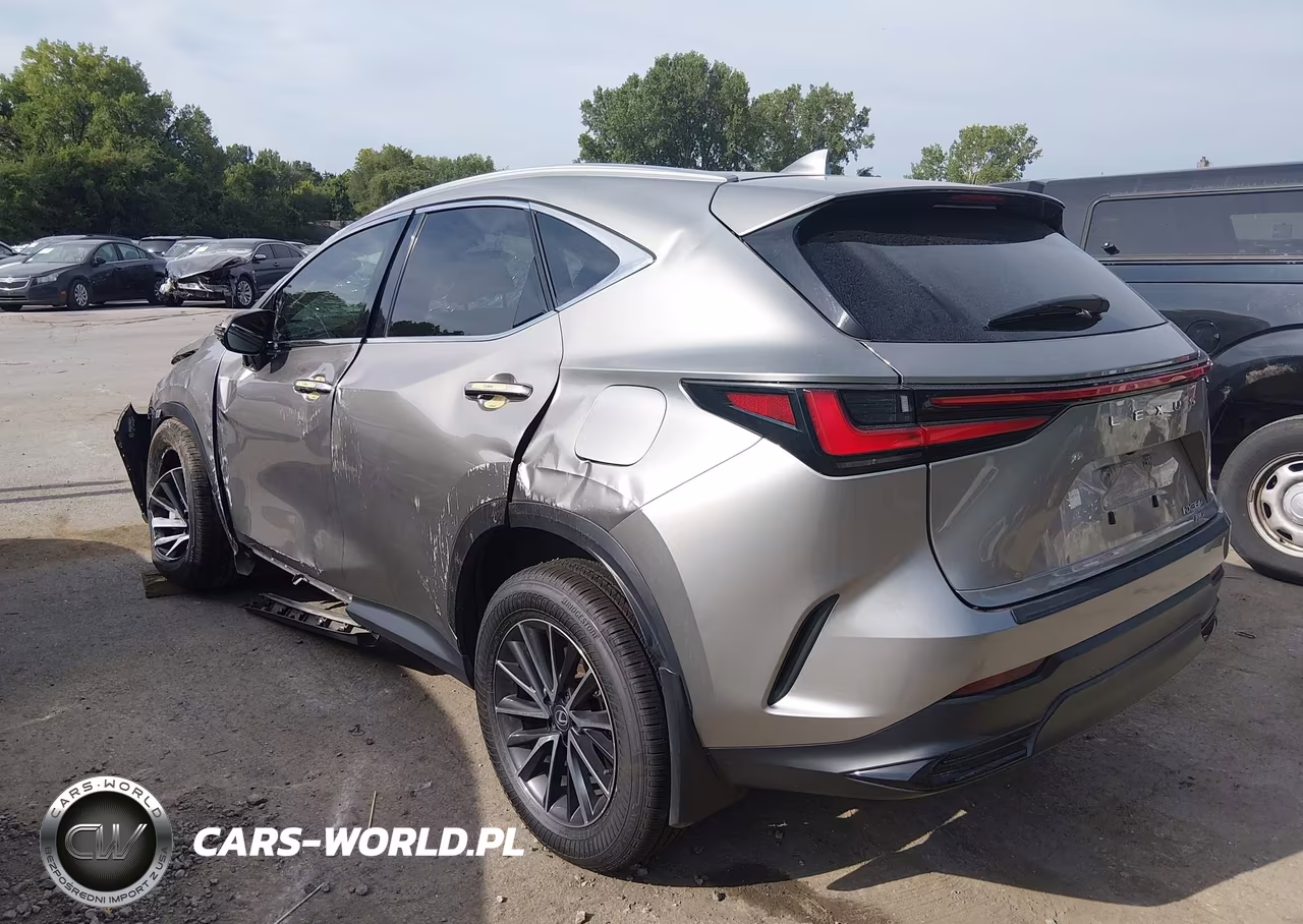 2024 Lexus Nx 350 VIN:2T2AGCEZ9RC049544 - 3