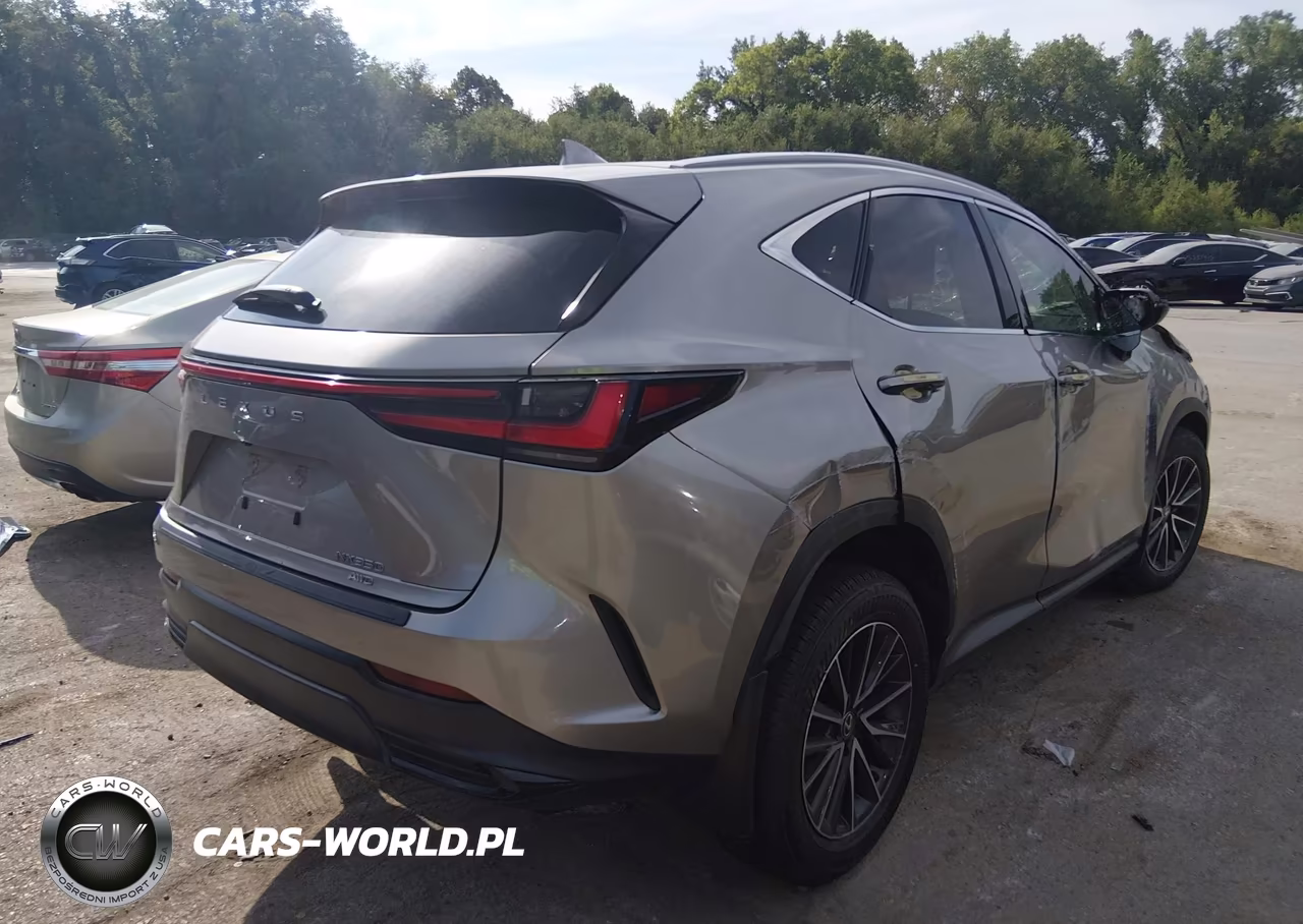 2024 Lexus Nx 350 VIN:2T2AGCEZ9RC049544 - 4