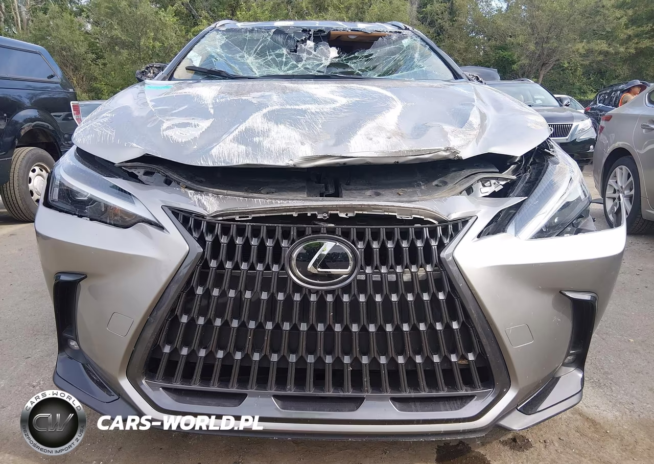 2024 Lexus Nx 350 VIN:2T2AGCEZ9RC049544 - 6