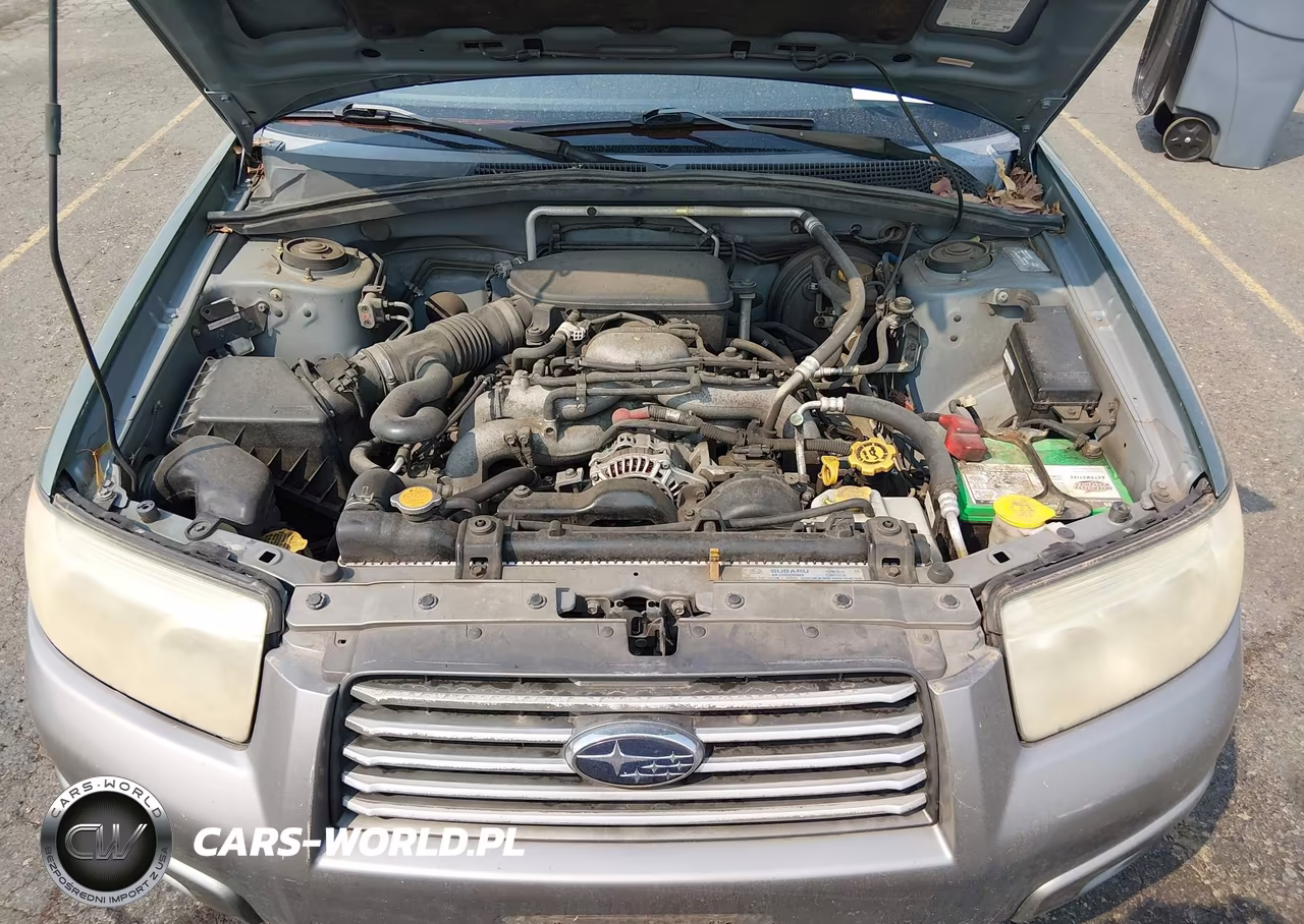 2006 Subaru Forester 2.5X L.l. Bean Edition VIN:JF1SG67606H742223 - 10