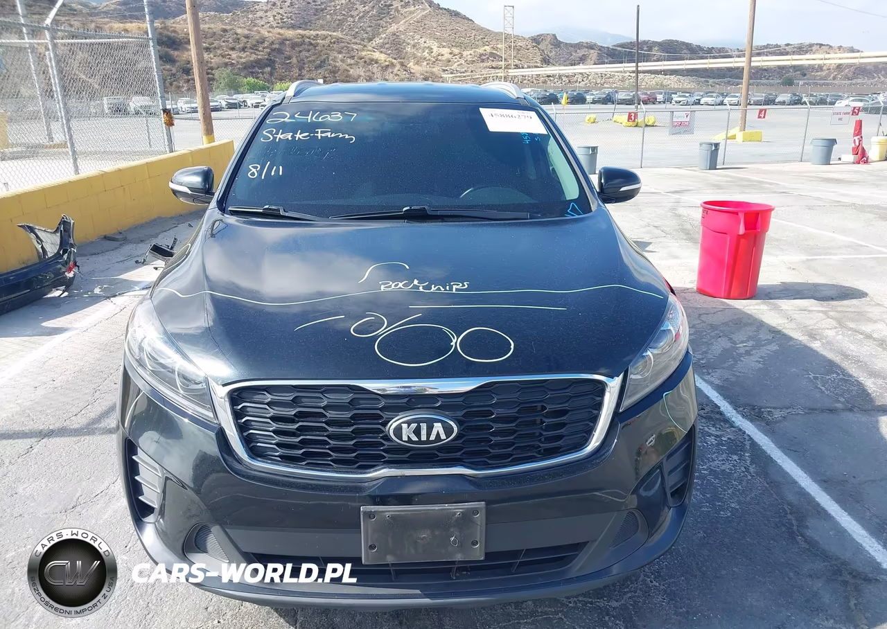 2019 Kia Sorento 2.4L Lx VIN:5XYPG4A36KG596982 - 13