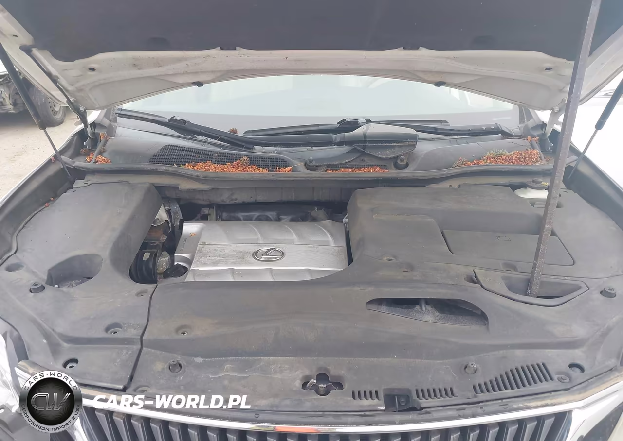 2010 Lexus Rx 350 VIN:2T2BK1BAXAC002016 - 10