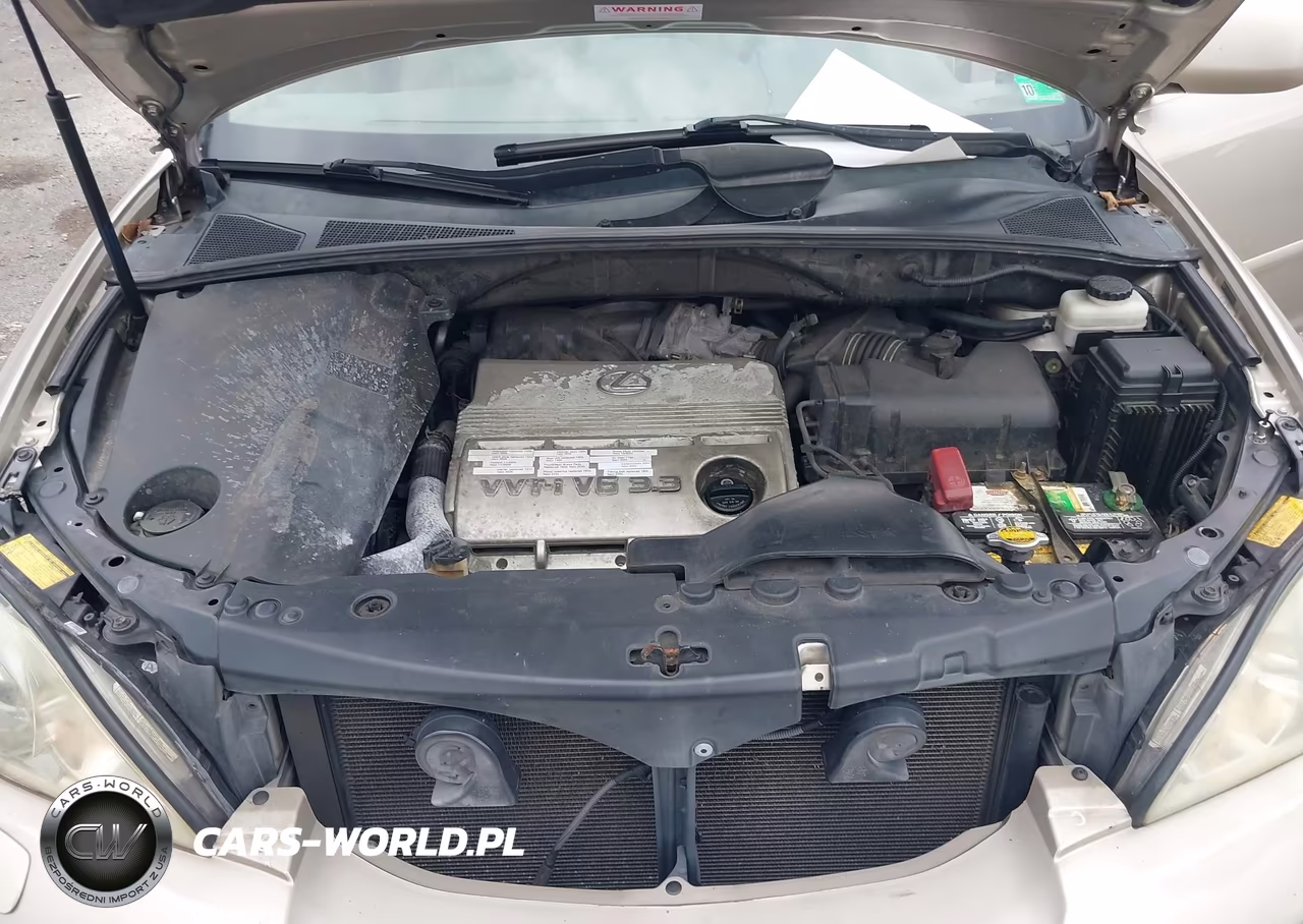 2005 Lexus Rx 330 VIN:2T2HA31UX5C067037 - 10
