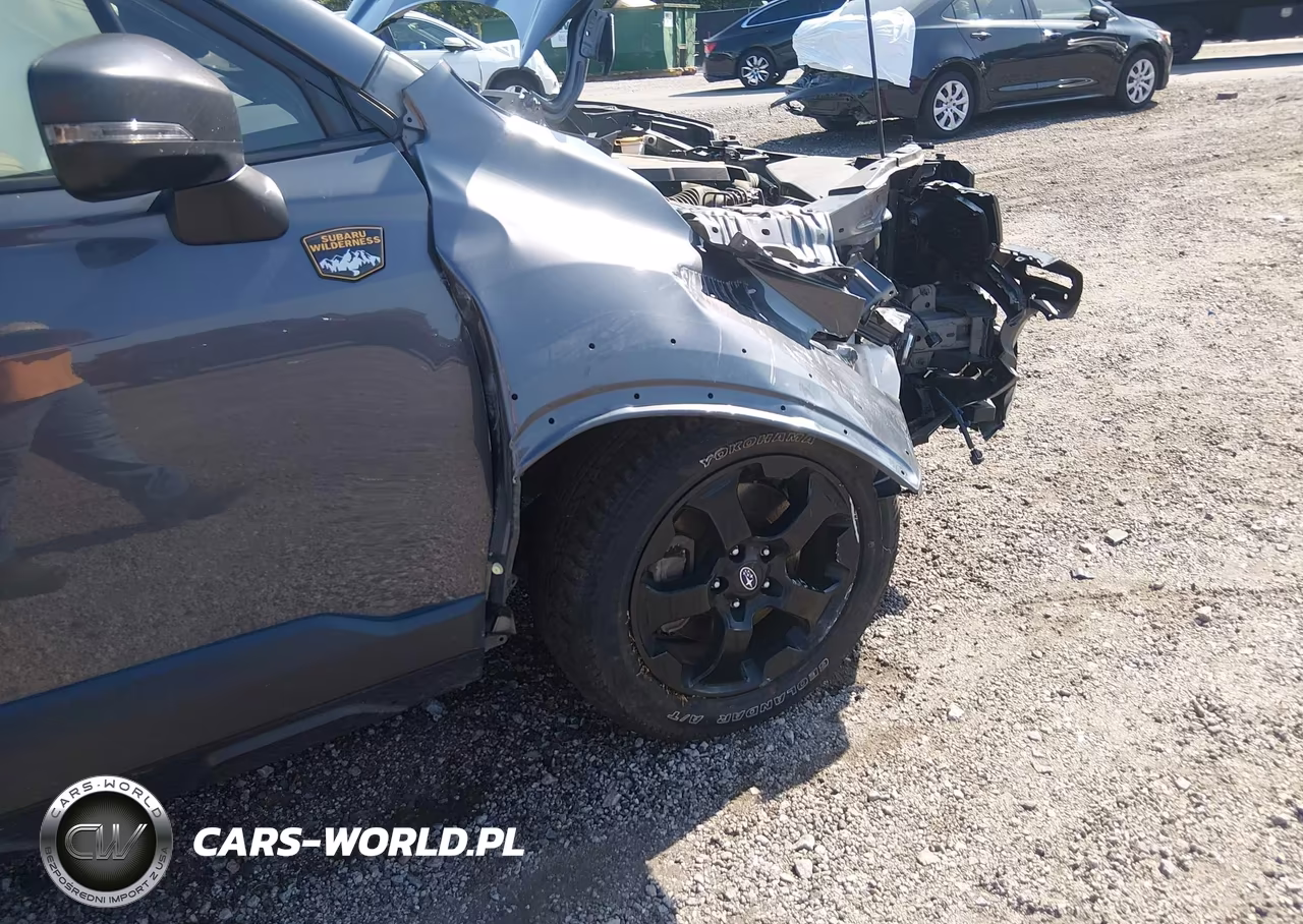 2024 Subaru Forester Wilderness VIN:JF2SKAJC0RH523858 - 6