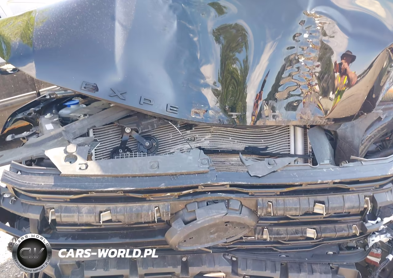 2024 Ford Expedition Limited VIN:1FMJU2AG0REA04934 - 10