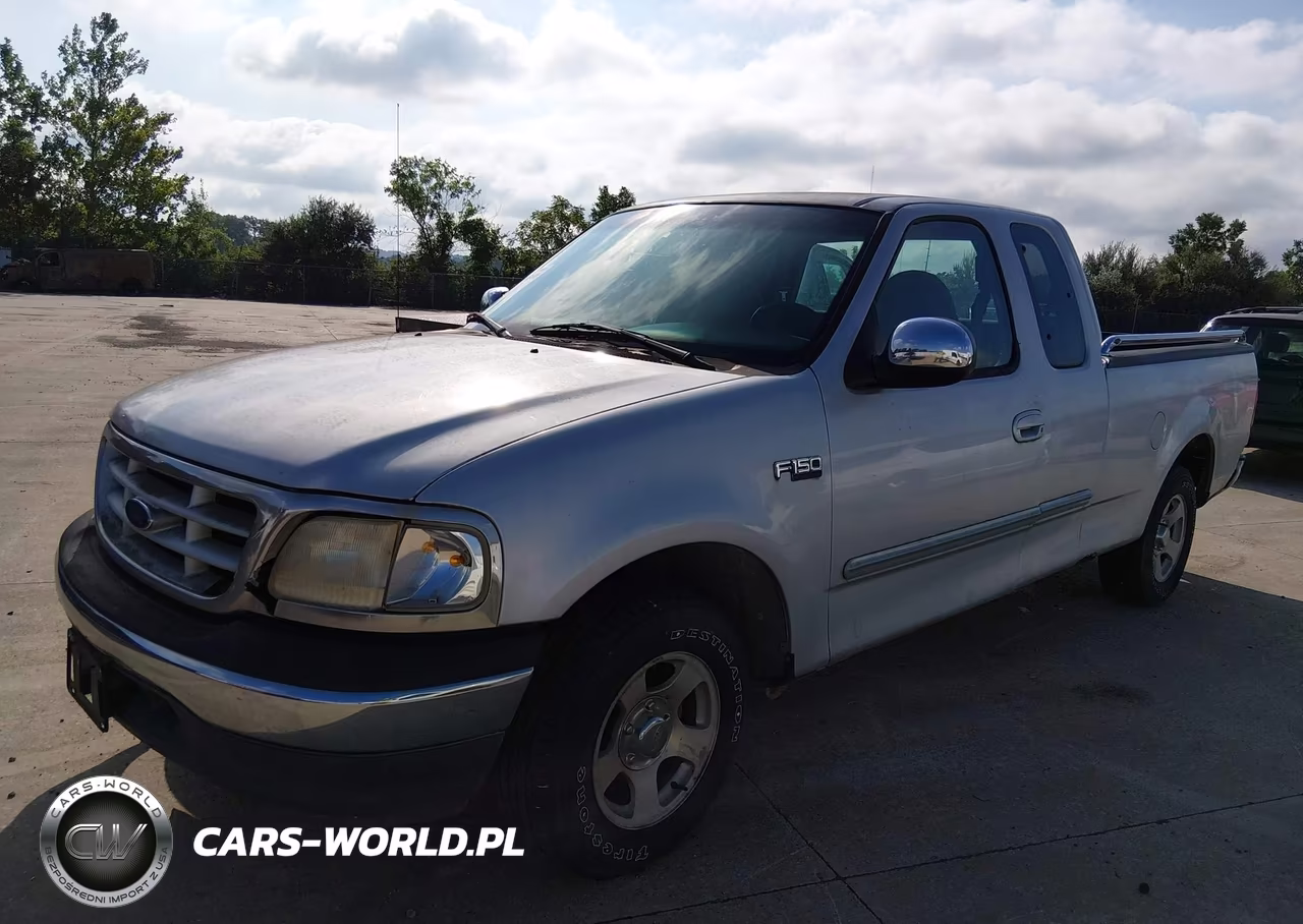 1999 Ford F-150 Work Series-Xl-Xlt VIN:1FTZX1721XKA33765 - 2