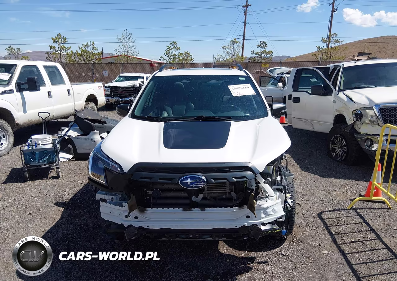 2023 Subaru Forester Wilderness VIN:JF2SKAMC2PH485638 - 13