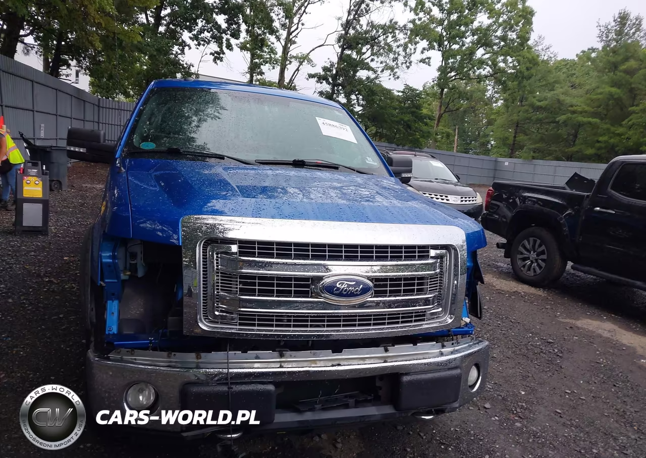 2013 Ford F-150 Xlt VIN:1FTFW1EF1DFB16774 - 13