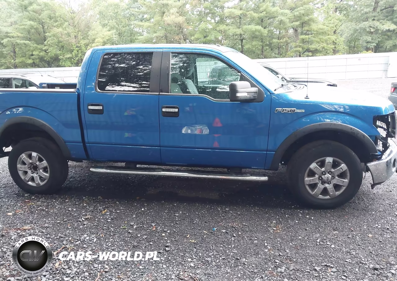 2013 Ford F-150 Xlt VIN:1FTFW1EF1DFB16774 - 14