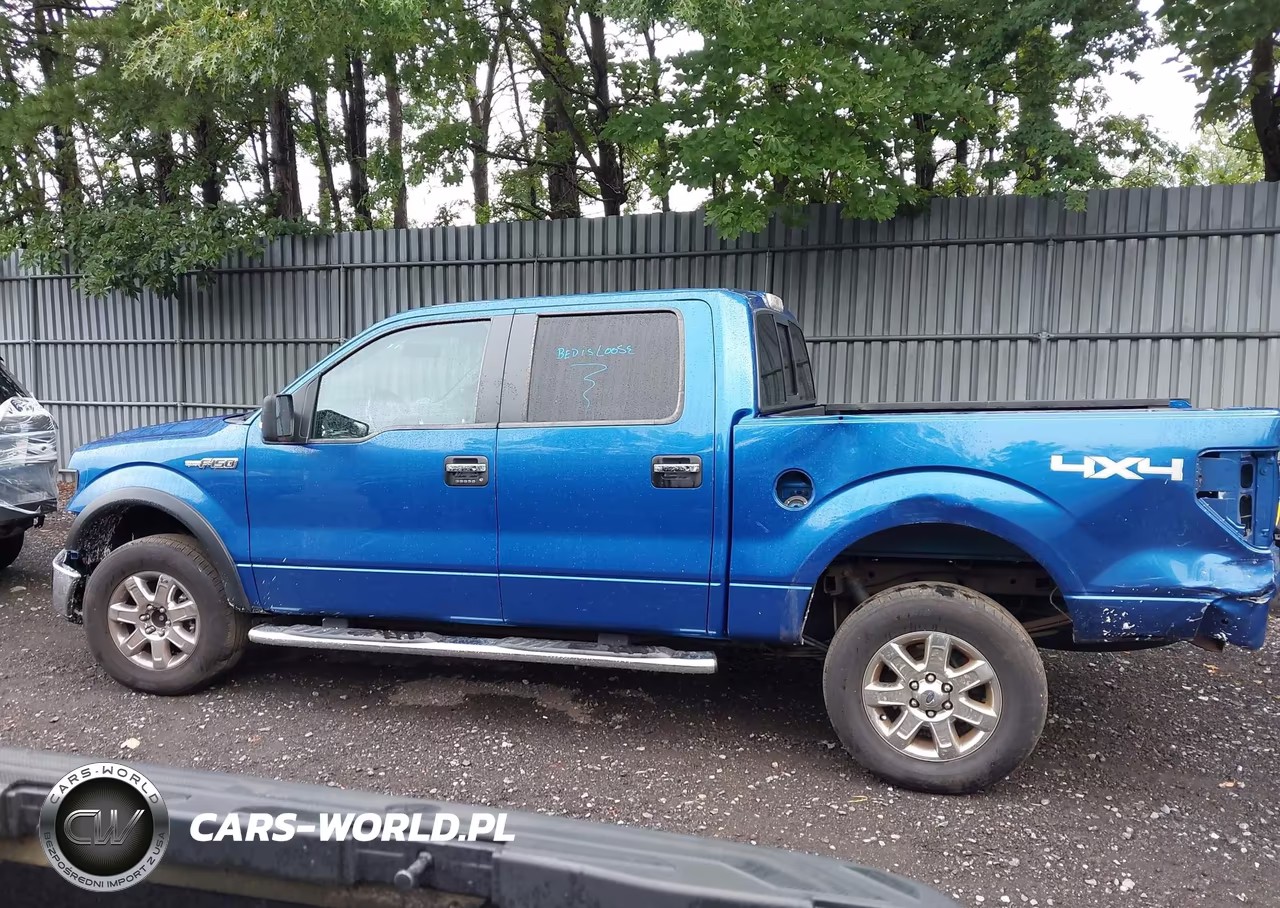 2013 Ford F-150 Xlt VIN:1FTFW1EF1DFB16774 - 15