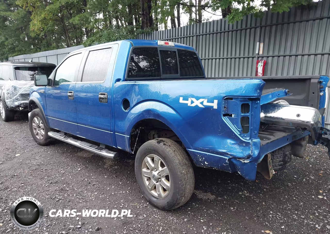 2013 Ford F-150 Xlt VIN:1FTFW1EF1DFB16774 - 3