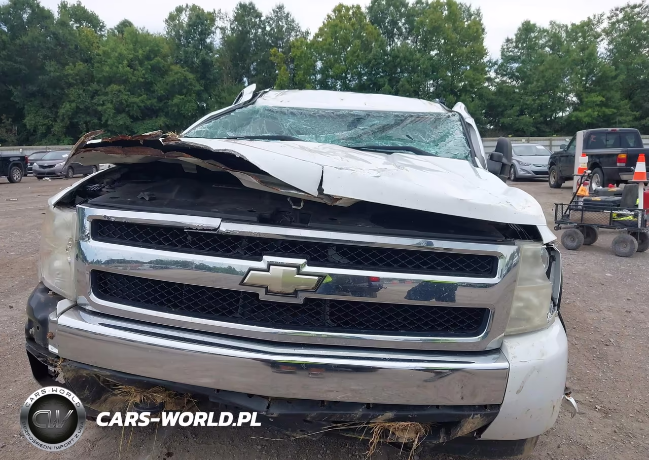 2008 Chevrolet Silverado 1500 Lt1 VIN:1GCEK19J88Z221757 - 6