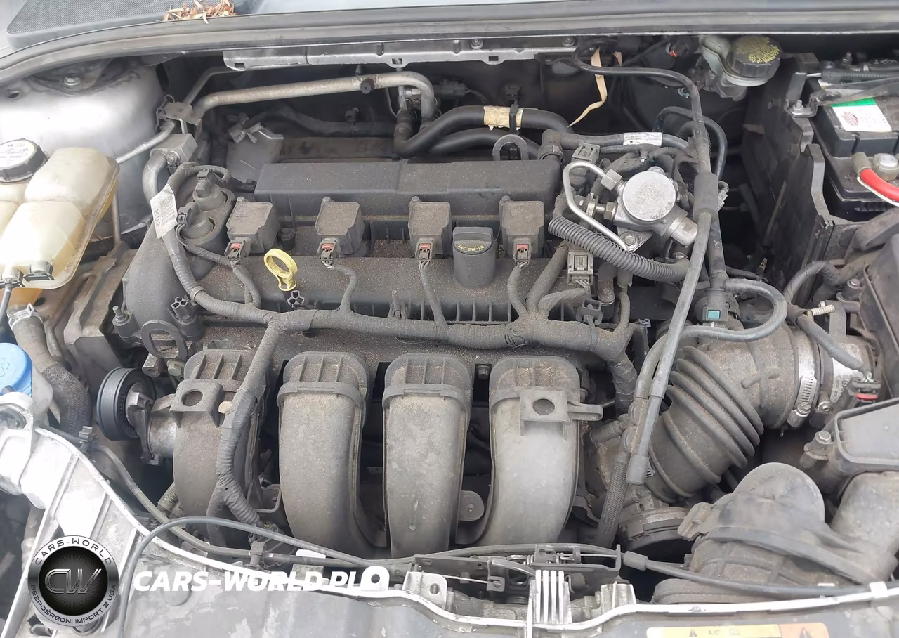2013 Ford Focus Se VIN:1FADP3F2XDL266644 - 10