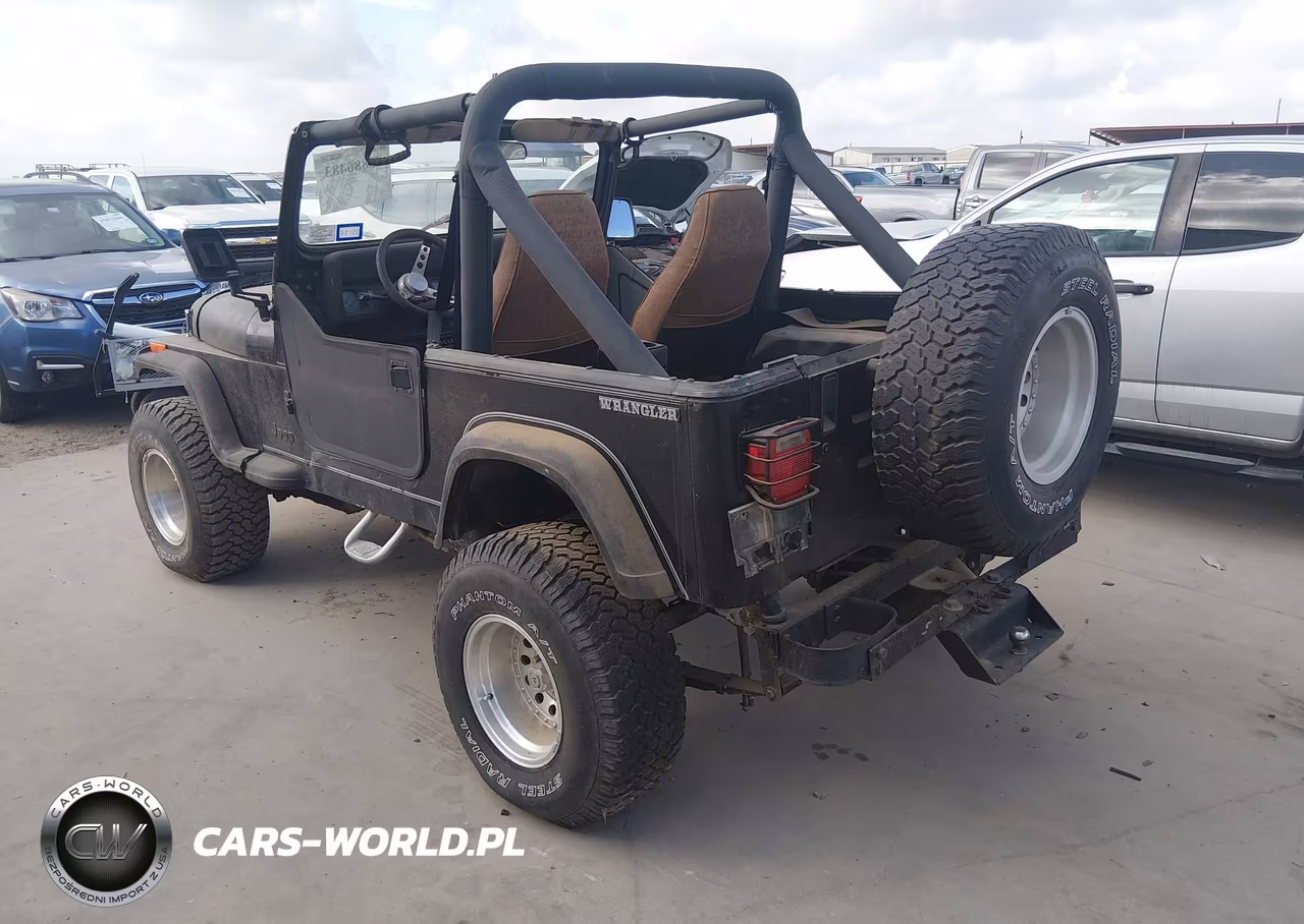 1991 Jeep Wrangler - Yj VIN:2J4FY29S5MJ109450 - 3