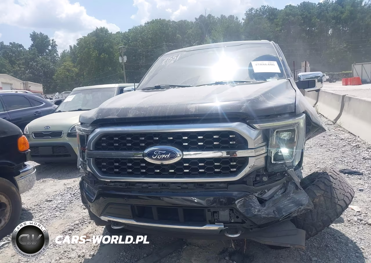 2021 Ford F-150 Platinum VIN:1FTFW1ED6MFA77551 - 12
