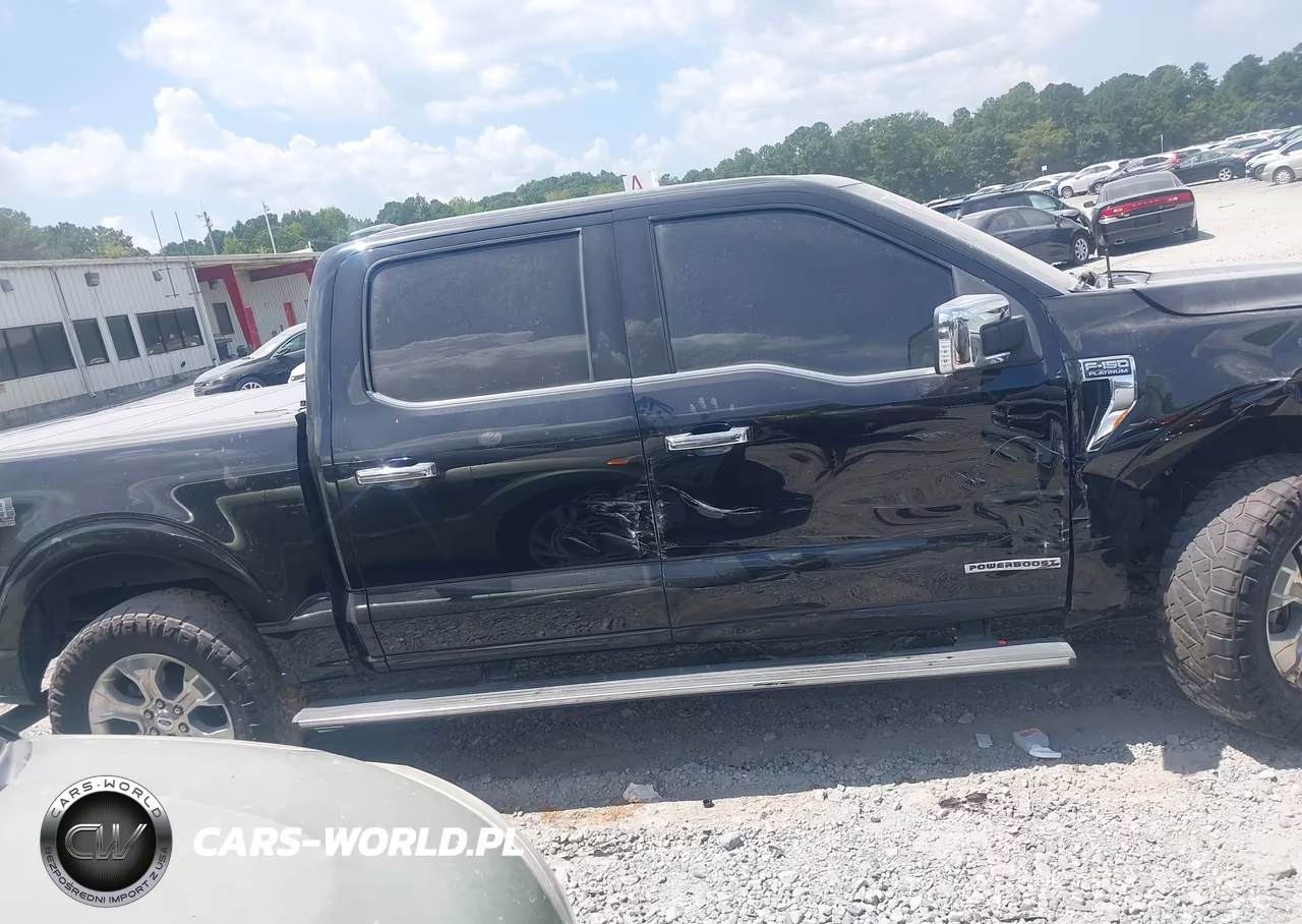 2021 Ford F-150 Platinum VIN:1FTFW1ED6MFA77551 - 13