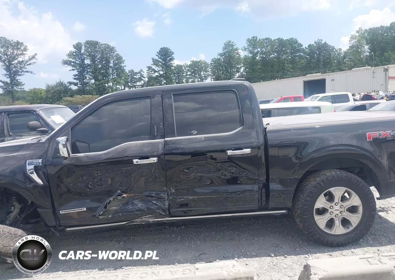 2021 Ford F-150 Platinum VIN:1FTFW1ED6MFA77551 - 14