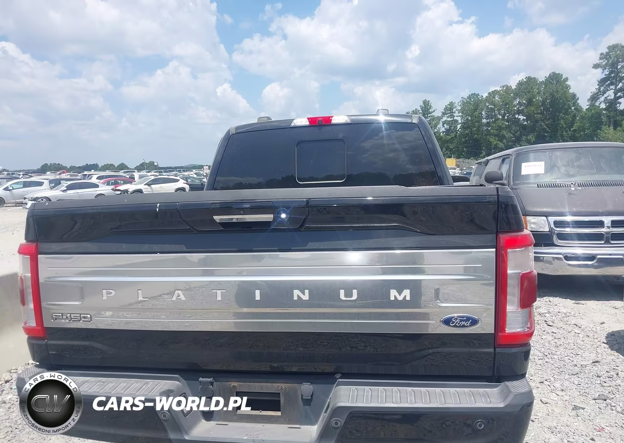 2021 Ford F-150 Platinum VIN:1FTFW1ED6MFA77551 - 16