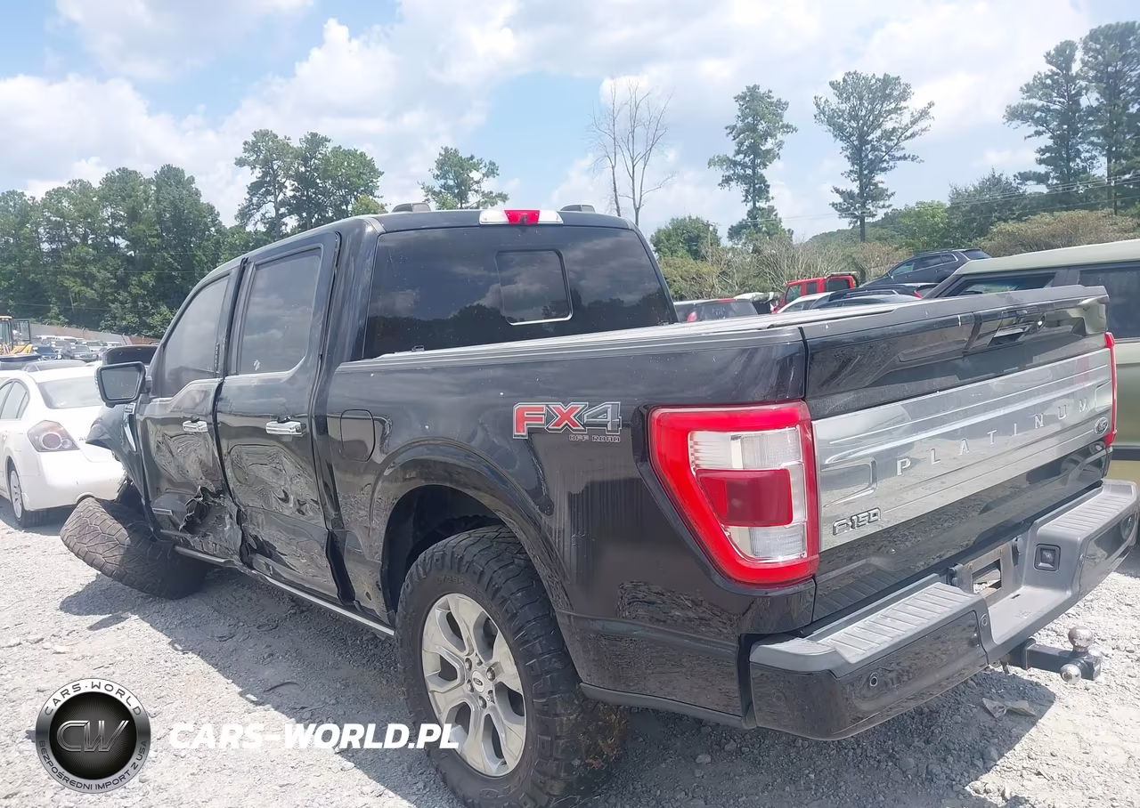 2021 Ford F-150 Platinum VIN:1FTFW1ED6MFA77551 - 3