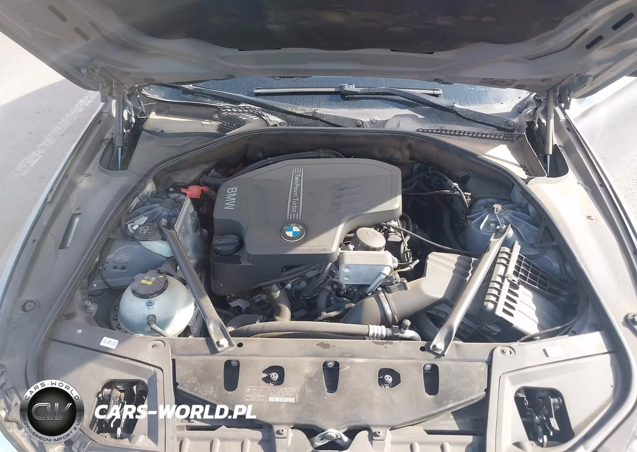 2014 BMW 528I VIN:WBA5A5C59ED506981 - 10
