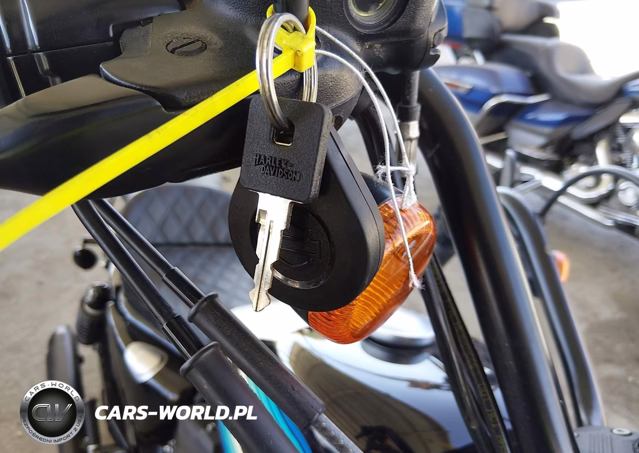 2019 Harley-Davidson Xl1200 Ns VIN:1HD1LP310KC401086 - 11