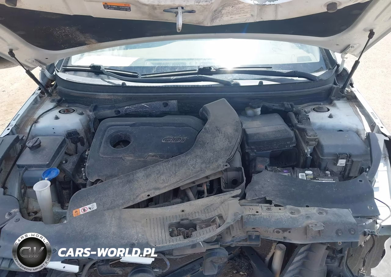 2016 Hyundai Sonata Se VIN:5NPE24AF1GH317910 - 10