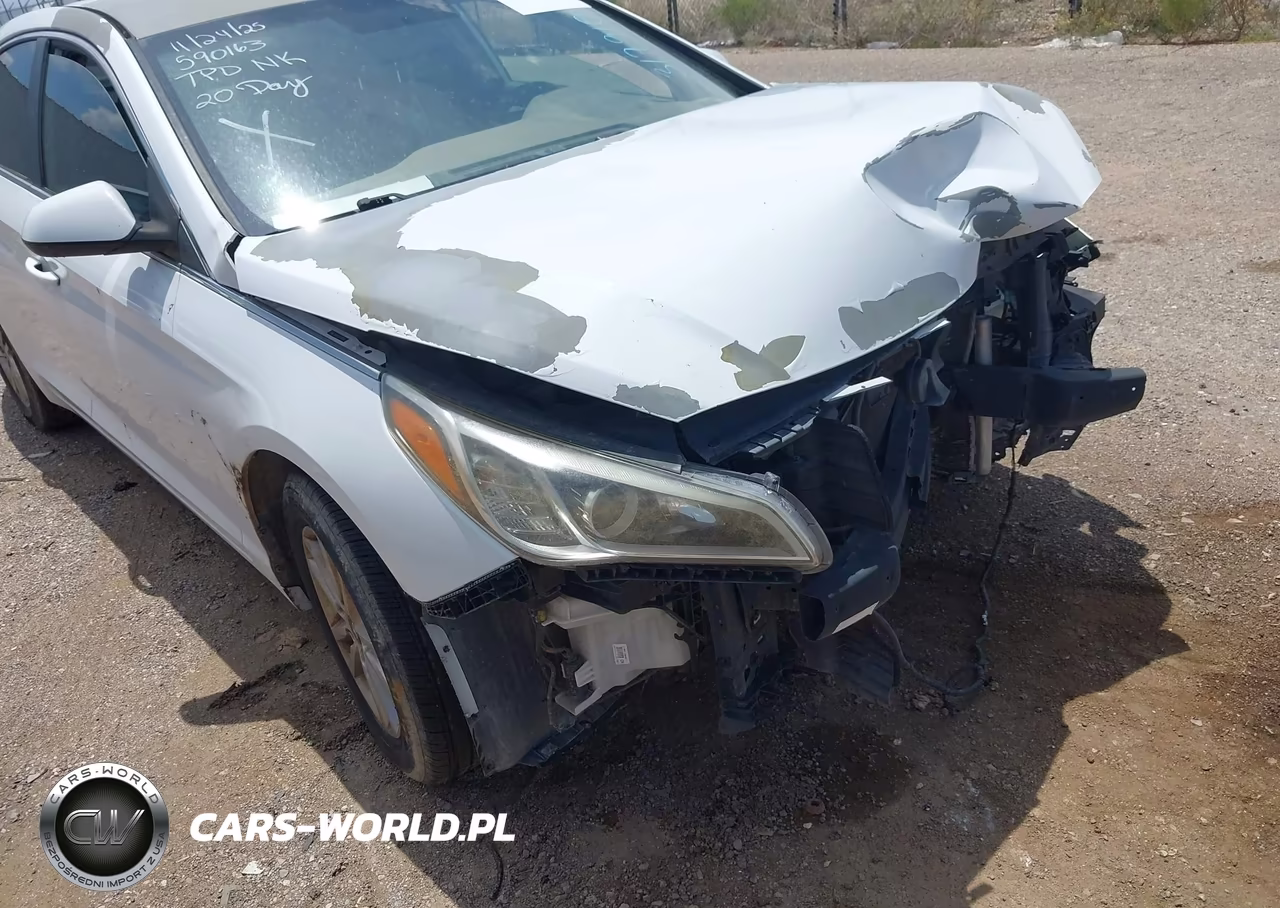 2016 Hyundai Sonata Se VIN:5NPE24AF1GH317910 - 12