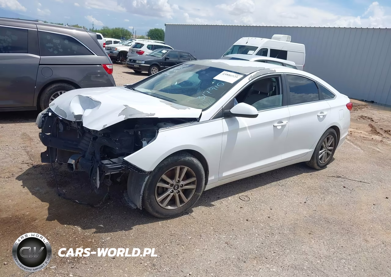 2016 Hyundai Sonata Se VIN:5NPE24AF1GH317910 - 2