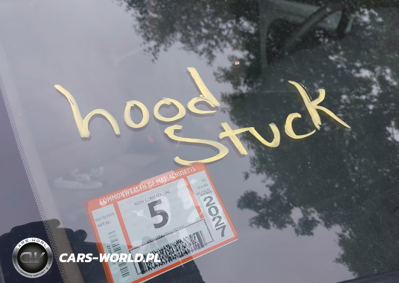 2017 Hyundai Tucson Se VIN:KM8J23A45HU277891 - 10