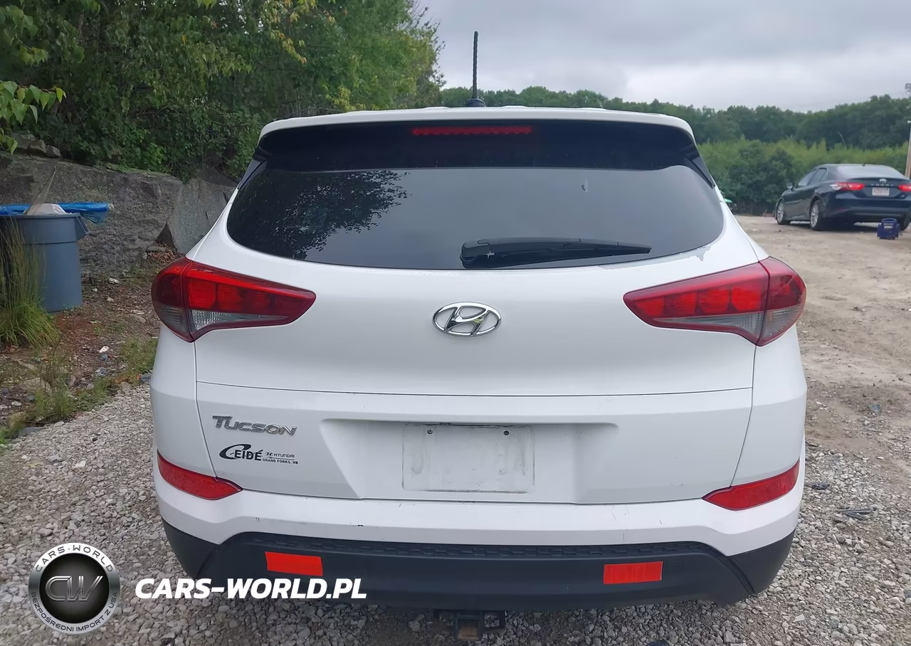 2017 Hyundai Tucson Se VIN:KM8J23A45HU277891 - 17
