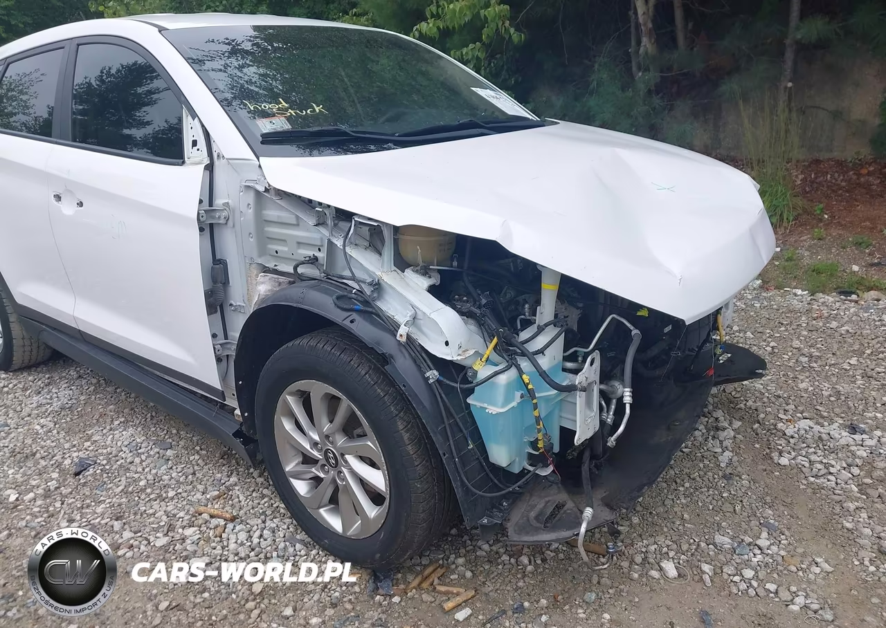 2017 Hyundai Tucson Se VIN:KM8J23A45HU277891 - 18
