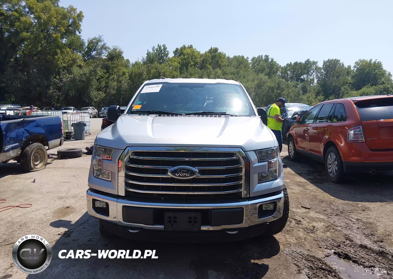 2015 Ford F-150 Xlt VIN:1FTEW1EG6FKF17221 - 12