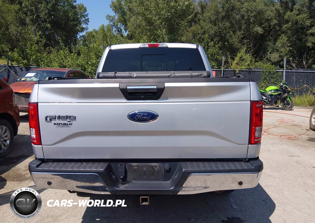 2015 Ford F-150 Xlt VIN:1FTEW1EG6FKF17221 - 16