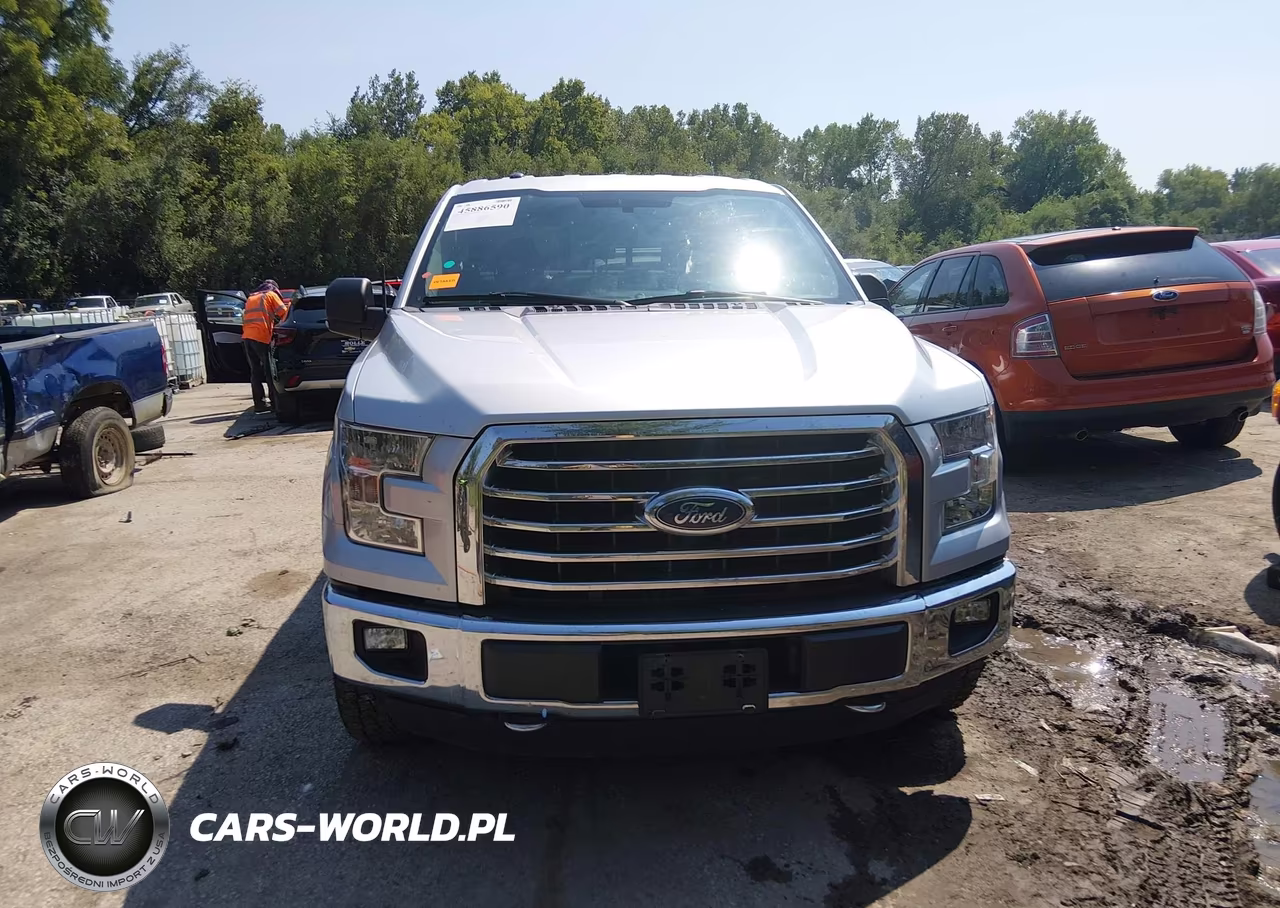 2015 Ford F-150 Xlt VIN:1FTEW1EG6FKF17221 - 6