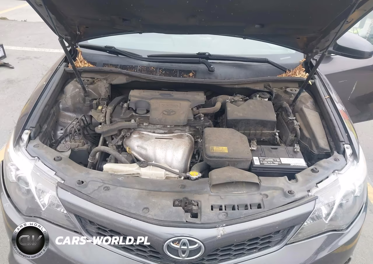 2014 Toyota Camry Se VIN:4T1BF1FK3EU366360 - 10