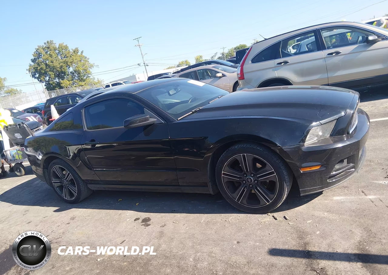 2013 Ford Mustang V6 VIN:1ZVBP8AM8D5263220 - 13