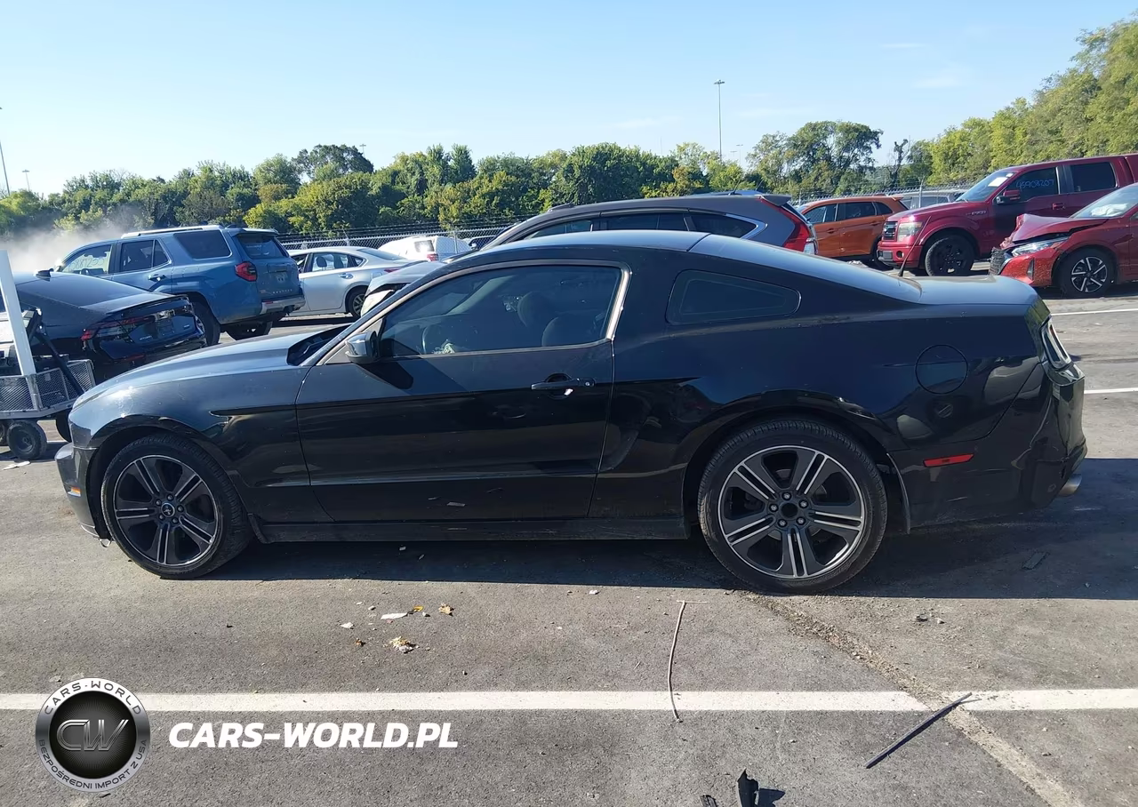2013 Ford Mustang V6 VIN:1ZVBP8AM8D5263220 - 14
