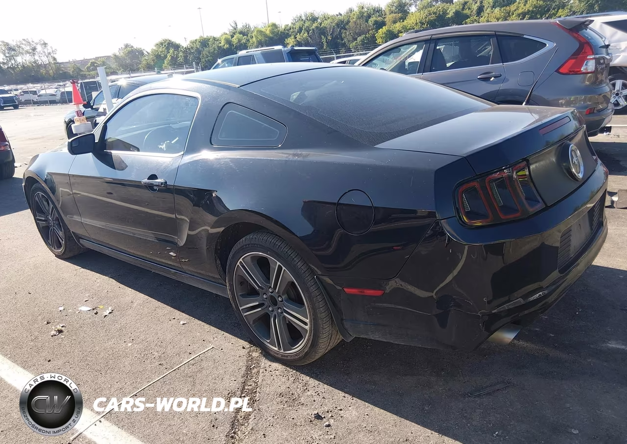 2013 Ford Mustang V6 VIN:1ZVBP8AM8D5263220 - 3
