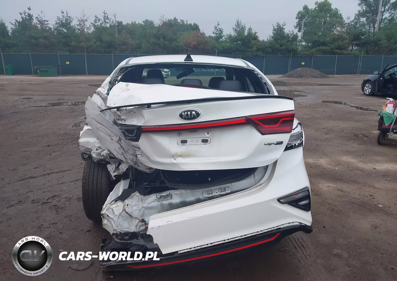 2021 Kia Forte Gt-Line VIN:3KPF34AD9ME323437 - 17