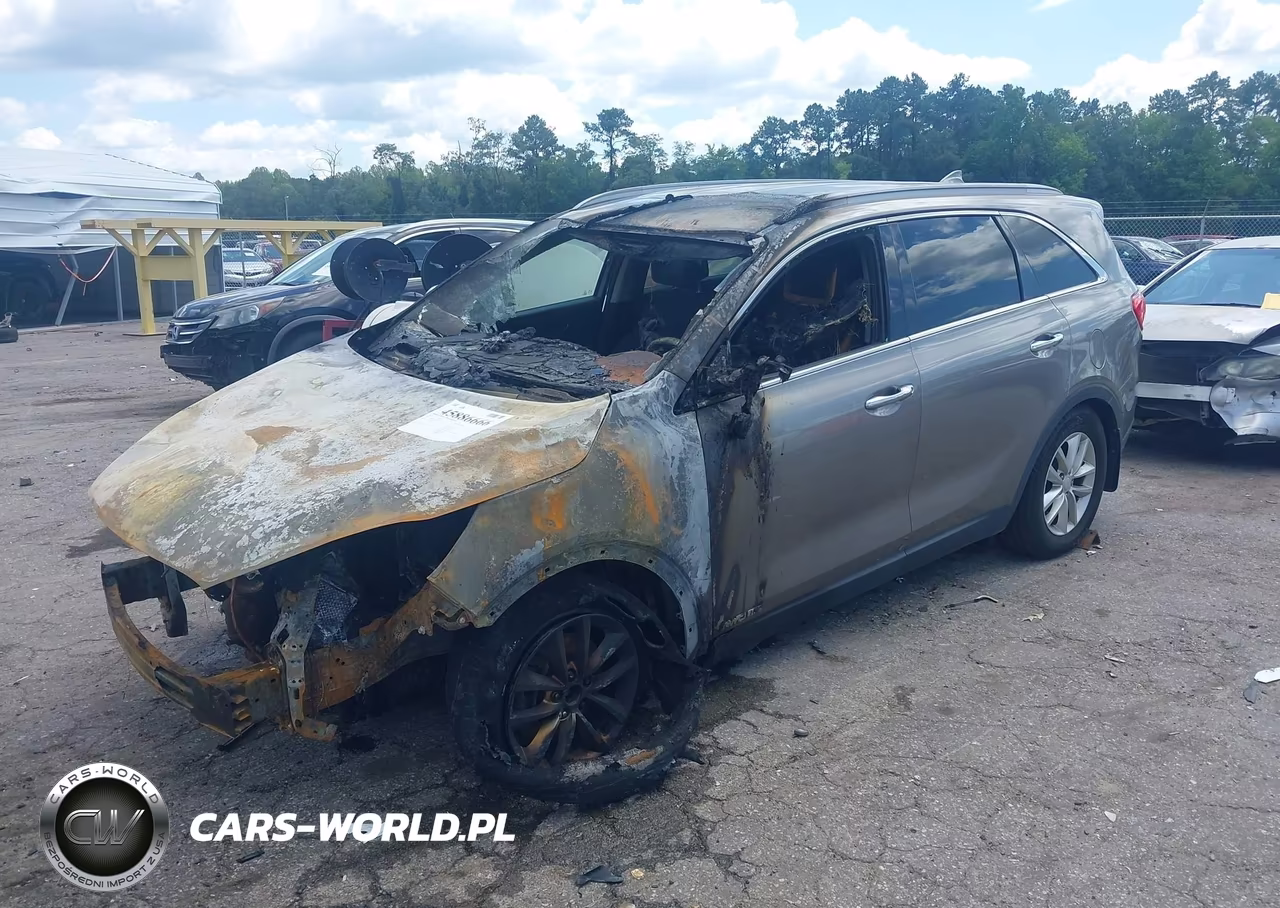 2017 Kia Sorento 3.3L Lx VIN:5XYPGDA55HG203211 - 2