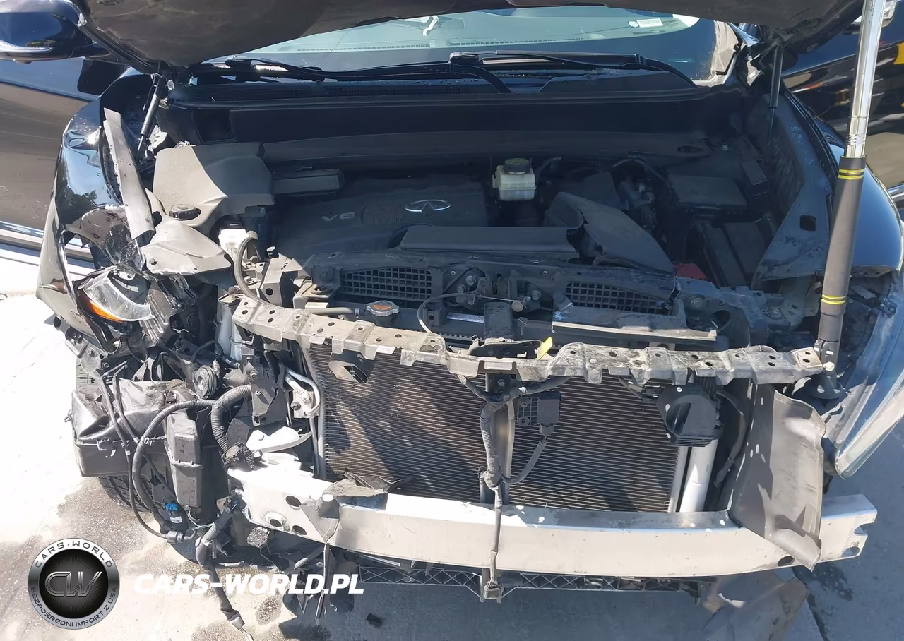 2017 Infiniti Qx60 VIN:5N1DL0MM3HC521628 - 10