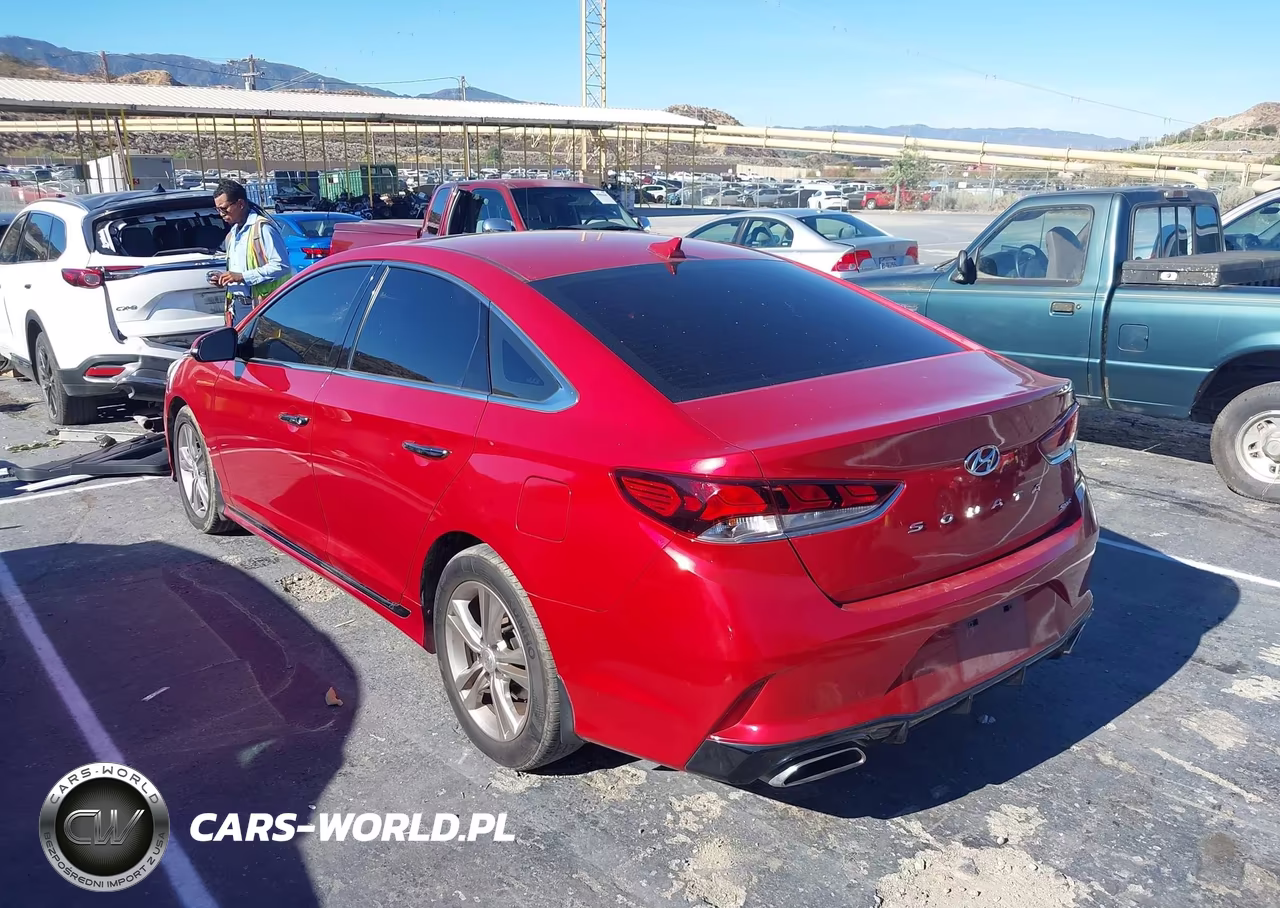 2019 Hyundai Sonata Sport VIN:5NPE34AF6KH821925 - 3
