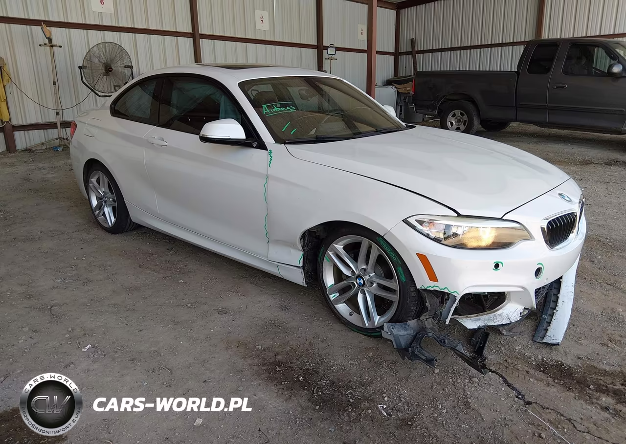 2015 BMW 228I