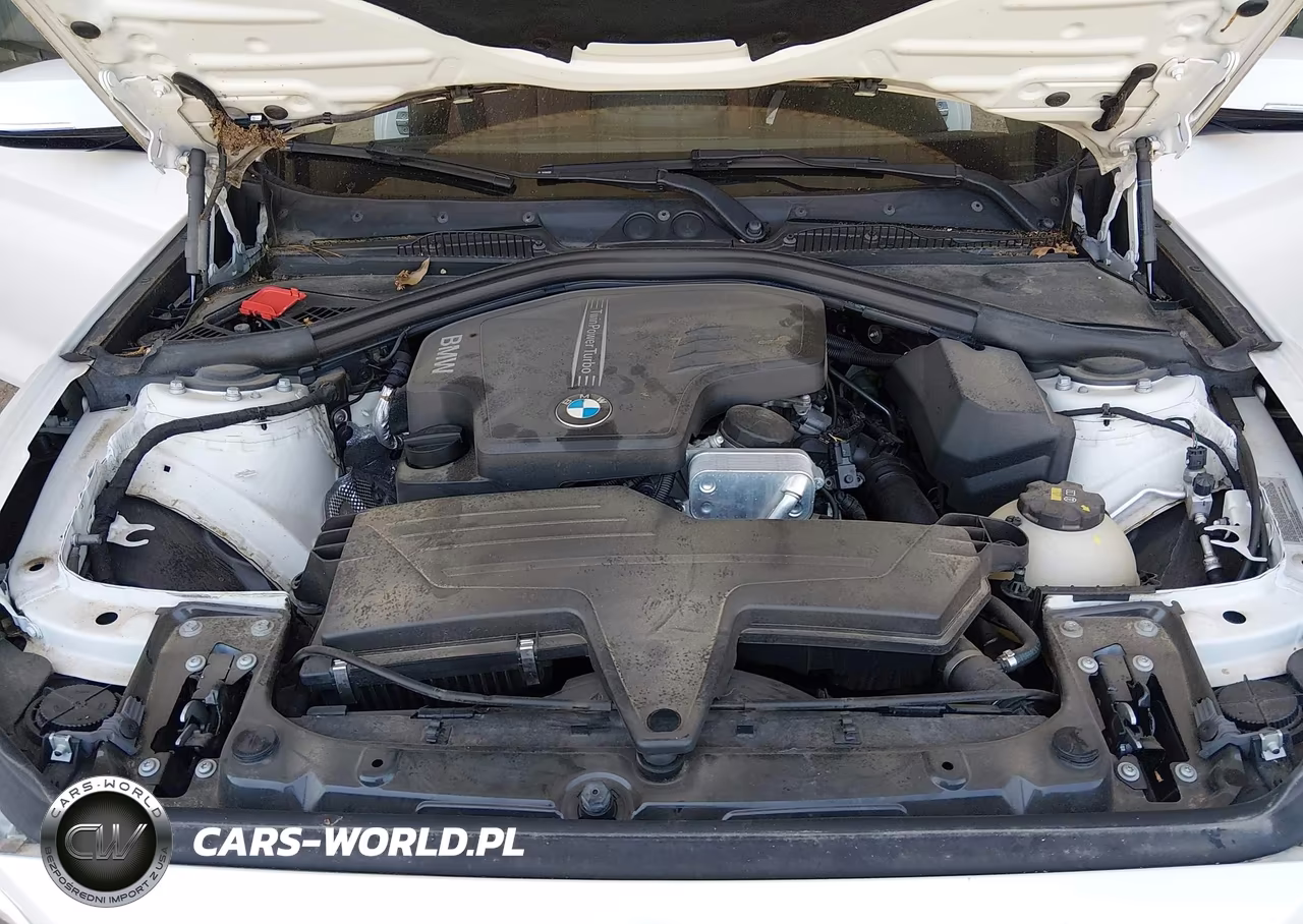 2015 BMW 228I VIN:WBA1F5C53FV257668 - 10