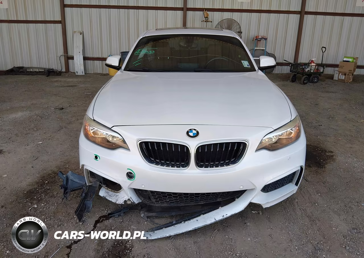 2015 BMW 228I VIN:WBA1F5C53FV257668 - 12